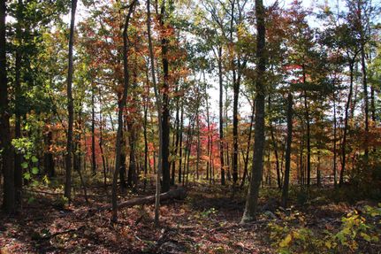 Land in Shenandoah County, Virginia