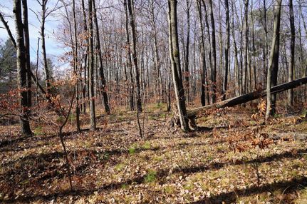Recreational Property in Burnett County, Wisconsin