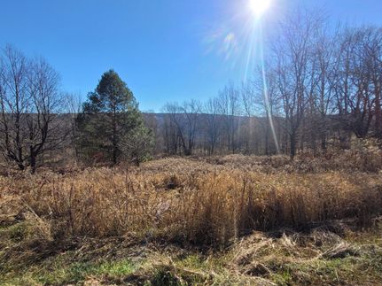 Timberland Property in Schoharie County, New York