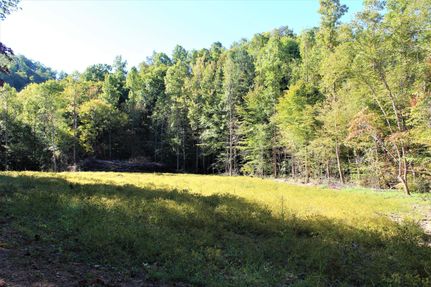 Timberland Property in Breathitt County, Kentucky