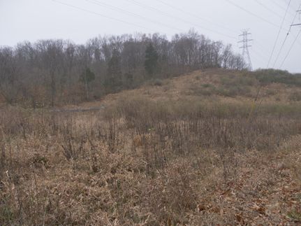 Timberland Property in Jefferson County, Missouri