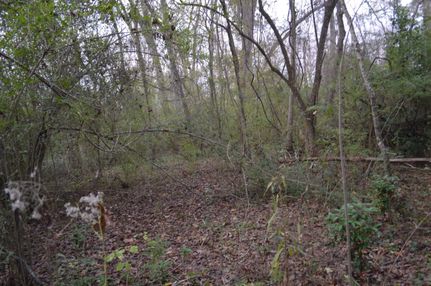 Hunting Property in Saint Landry Parish, Louisiana