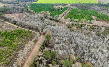 Undeveloped Land in Pulaski County, Georgia