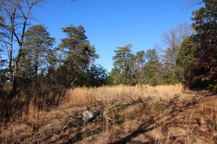 Timberland Property in Warren County, Virginia