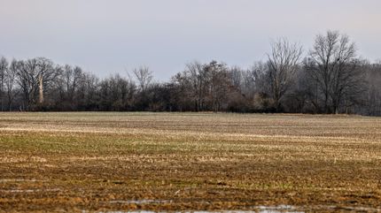 Timberland Property in Van Buren County, Michigan