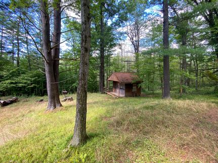 Timberland Property in Steuben County, New York