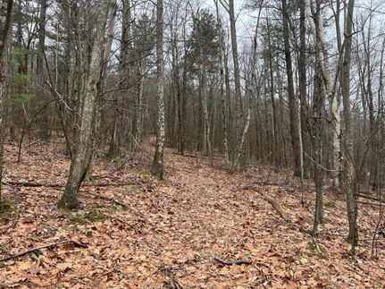Recreational Property in Wyoming County, Pennsylvania