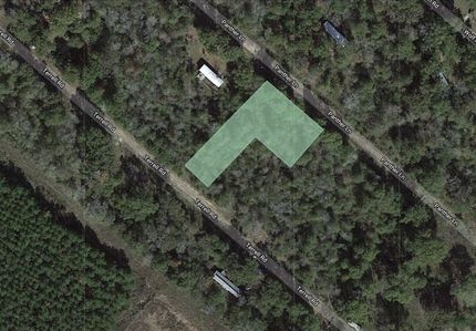 Undeveloped Land in Polk County, Texas