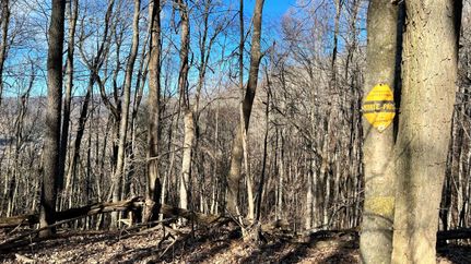 Undeveloped Land in Ashe County, North Carolina