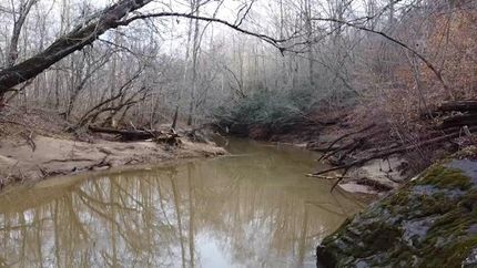 Farm and Ranch in Franklin County, Virginia