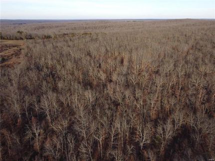Timberland Property in Phelps County, Missouri