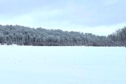 Timberland Property in Polk County, Wisconsin