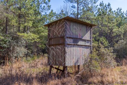 Farm and Ranch in Liberty County, Texas
