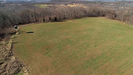 Timberland Property in Crittenden County, Kentucky