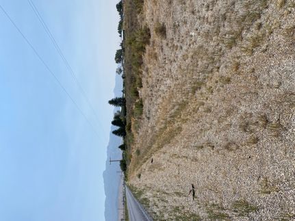 Recreational Property in White Pine County, Nevada