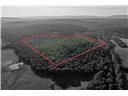 Timberland Property in Le Flore County, Oklahoma