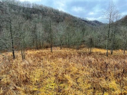 Land in Calhoun County, West Virginia