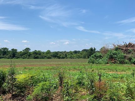 Recreational Property in Pike County, Alabama