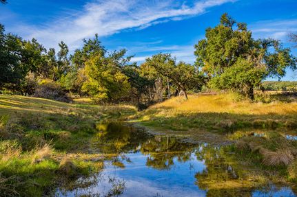 Undeveloped Land for sale in Gillespie County, Texas