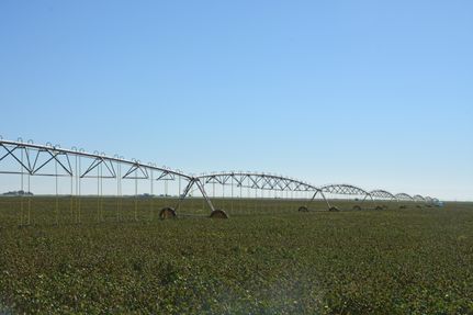 Farm and Ranch in Castro County, Texas