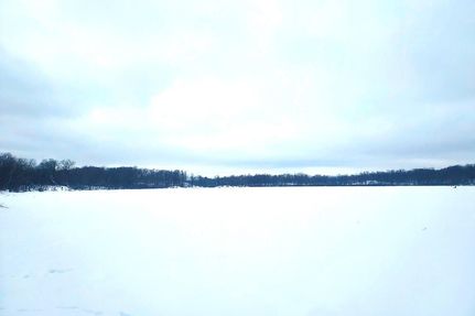 Timberland Property in Polk County, Wisconsin