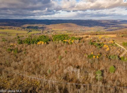 Undeveloped Land in Albany County, New York