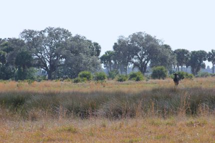 Recreational Property in Okeechobee County, Florida