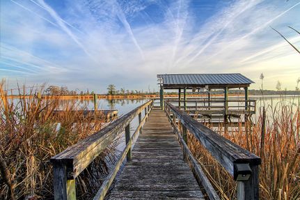 Farm and Ranch in Georgetown County, South Carolina
