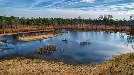 Farm and Ranch in Williamsburg County, South Carolina