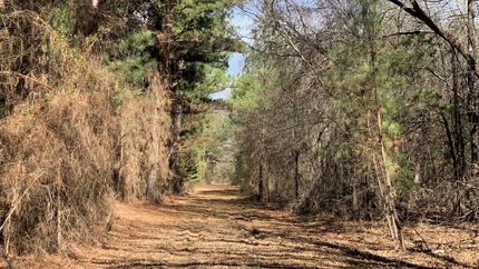 Farm and Ranch in Red River County, Texas