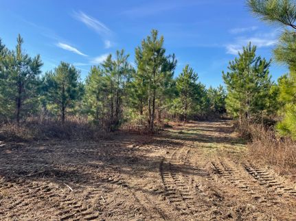 Farm and Ranch in Sumter County, South Carolina