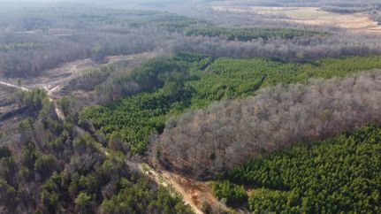 Recreational Property in Henry County, Tennessee