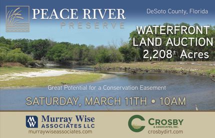 Timberland Property in DeSoto County, Florida