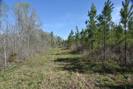 Timberland Property in Harris County, Georgia