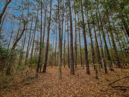Farm and Ranch in Williamsburg County, South Carolina