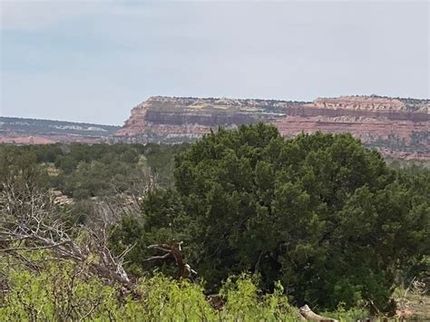 Undeveloped Land in Guadalupe County, New Mexico