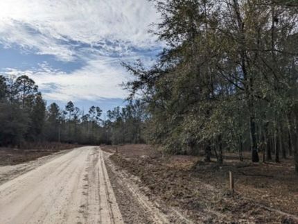 Farm and Ranch in Suwannee County, Florida