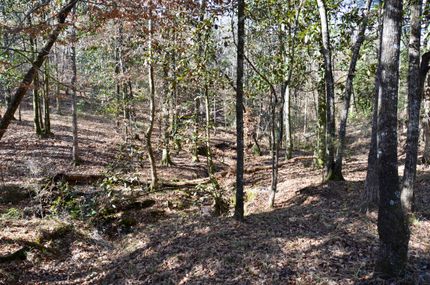 Recreational Property in Gadsden County, Florida