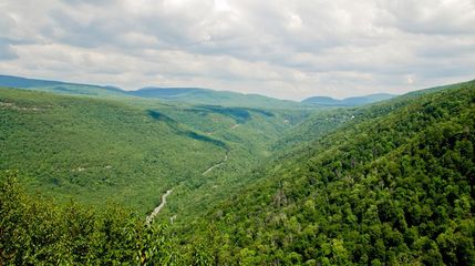 Undeveloped Land in Ulster County, New York