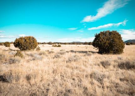 Undeveloped Land in McKinley County, New Mexico