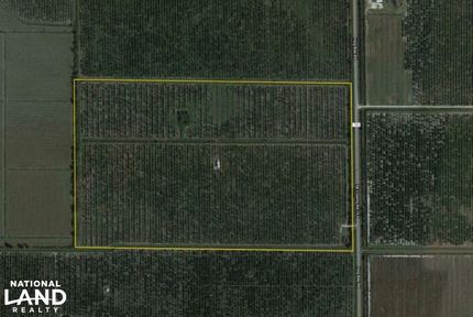 Undeveloped Land in DeSoto County, Florida