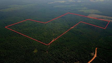 Timberland Property in Hot Spring County, Arkansas