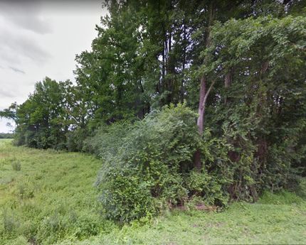 Land in Duplin County, North Carolina