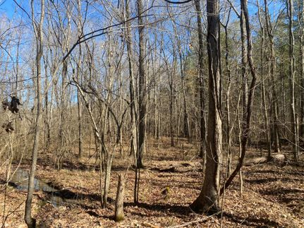 Timberland Property in Lafayette County, Mississippi