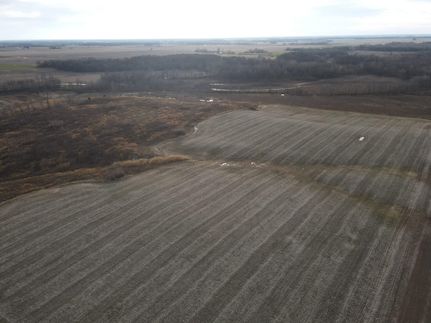 Farm and Ranch in Clay County, Illinois