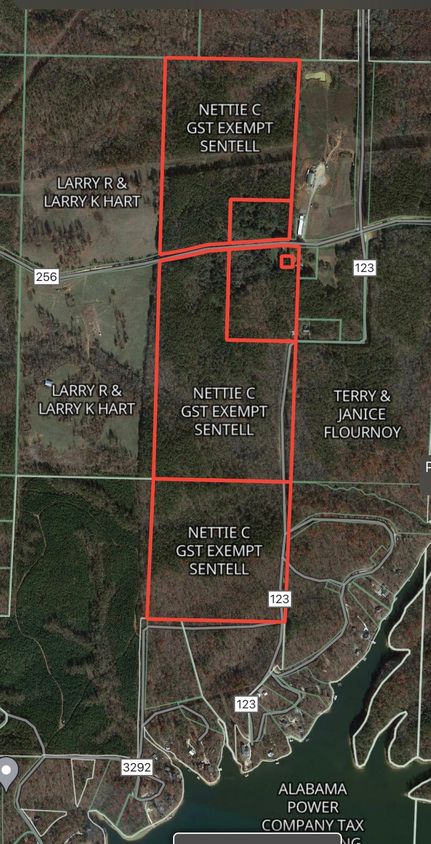 Undeveloped Land in Randolph County, Alabama