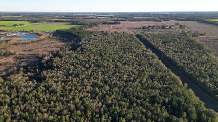 Land in Jackson County, Florida