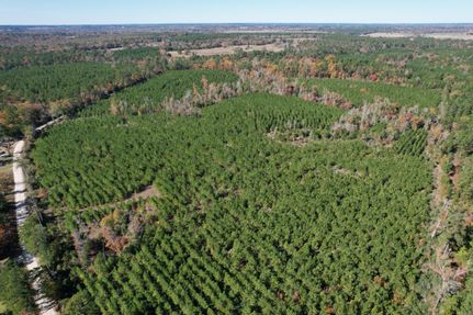 Undeveloped Land in Houston County, Texas