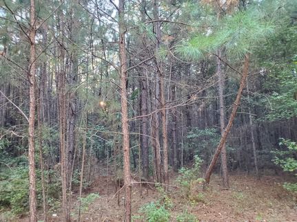 Timberland Property in Union County, Arkansas
