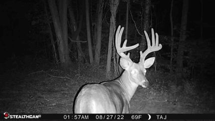 Farm and Ranch in Union County, Illinois